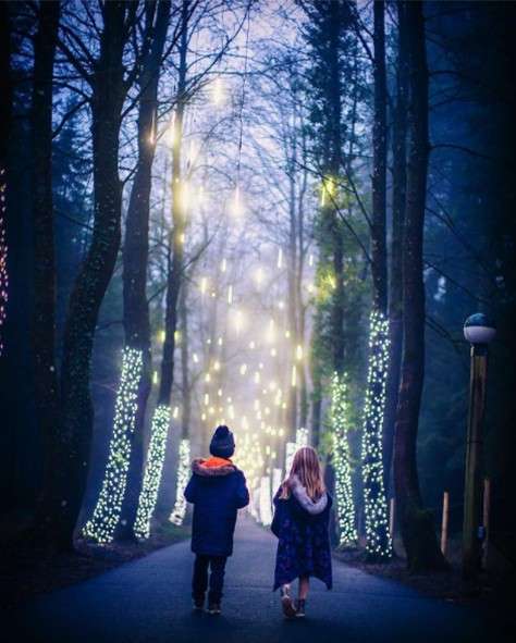 Two children walk through glowing trees in the Enchanted Light Forest