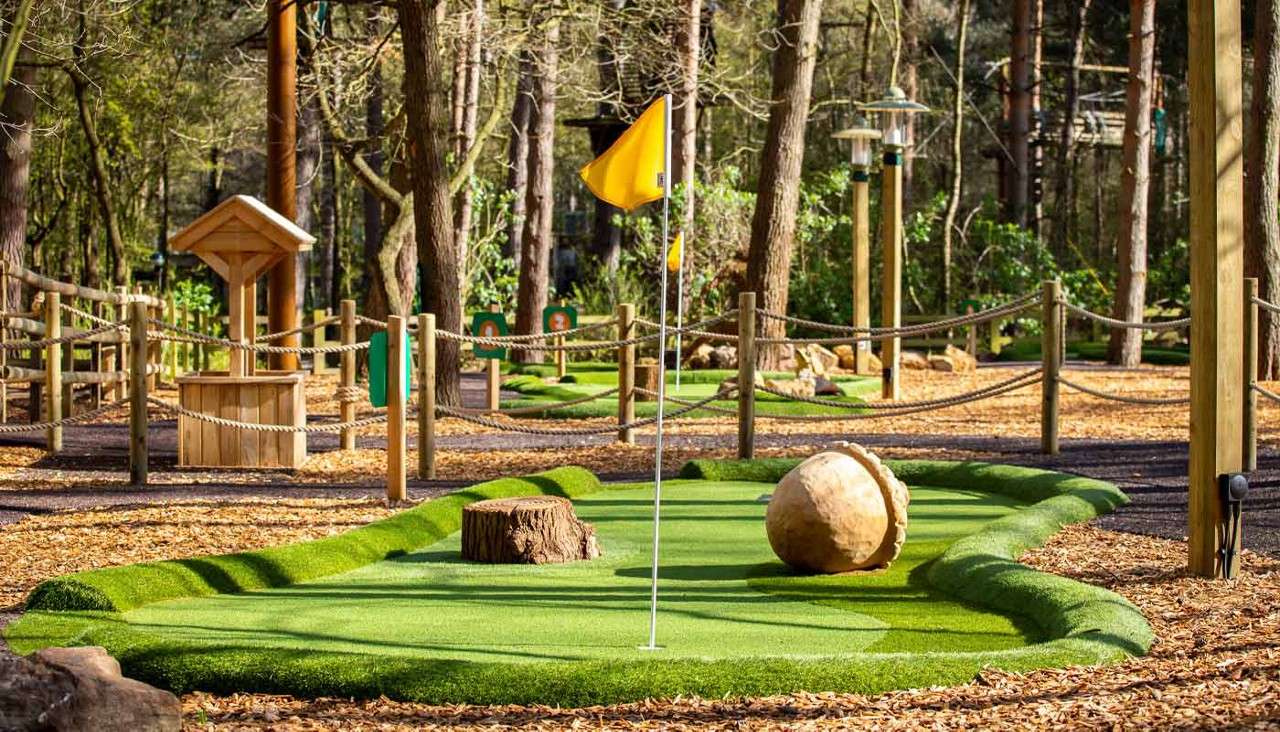 Mini-golf hole displays a yellow-flag pin; a large wooden acorn and a tree stump obstruct the putt on artificial turf, enclosed by rope fences within a wooded park.