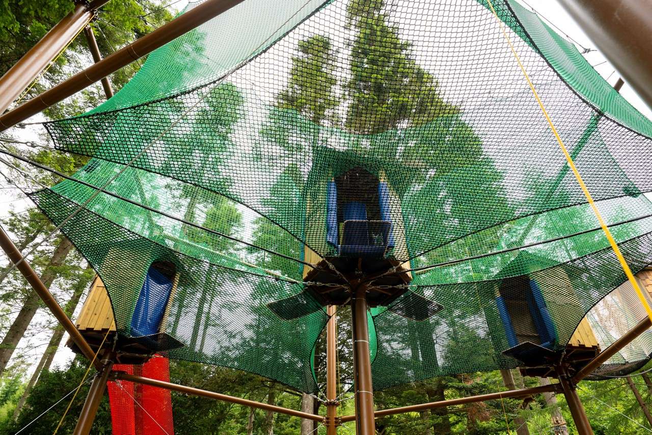 Adventure Nets course suspended in the trees.
