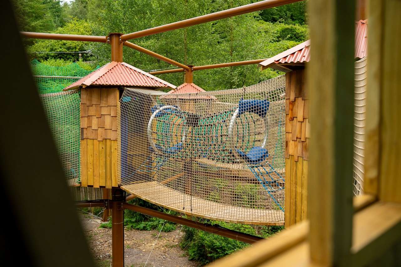 Adventure Nets course suspended in the trees.