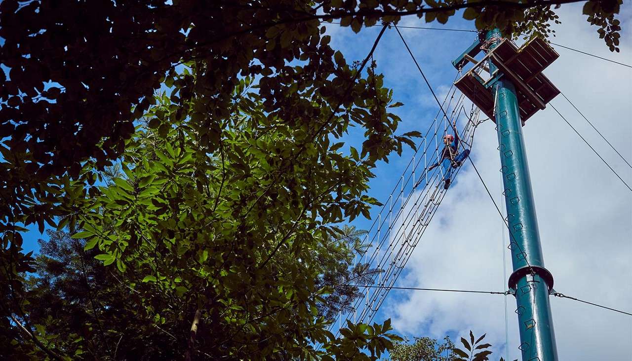 Zip wire view from floor