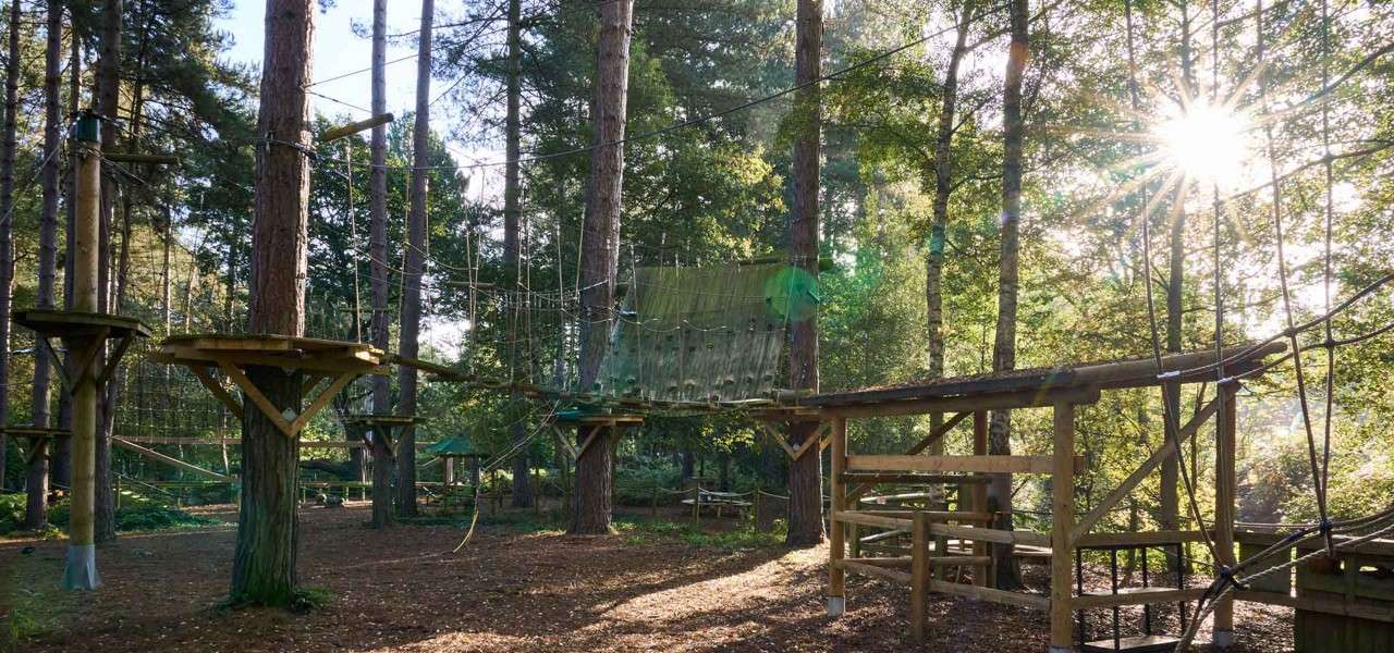 Aerial Tree Trekking