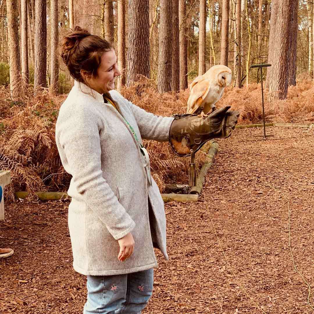 Barn owl perches on a leather-gloved hand, gazing downward. A smiling woman handles it. Tall pine trees and brown ferns surround a woodchip path in a forest clearing.