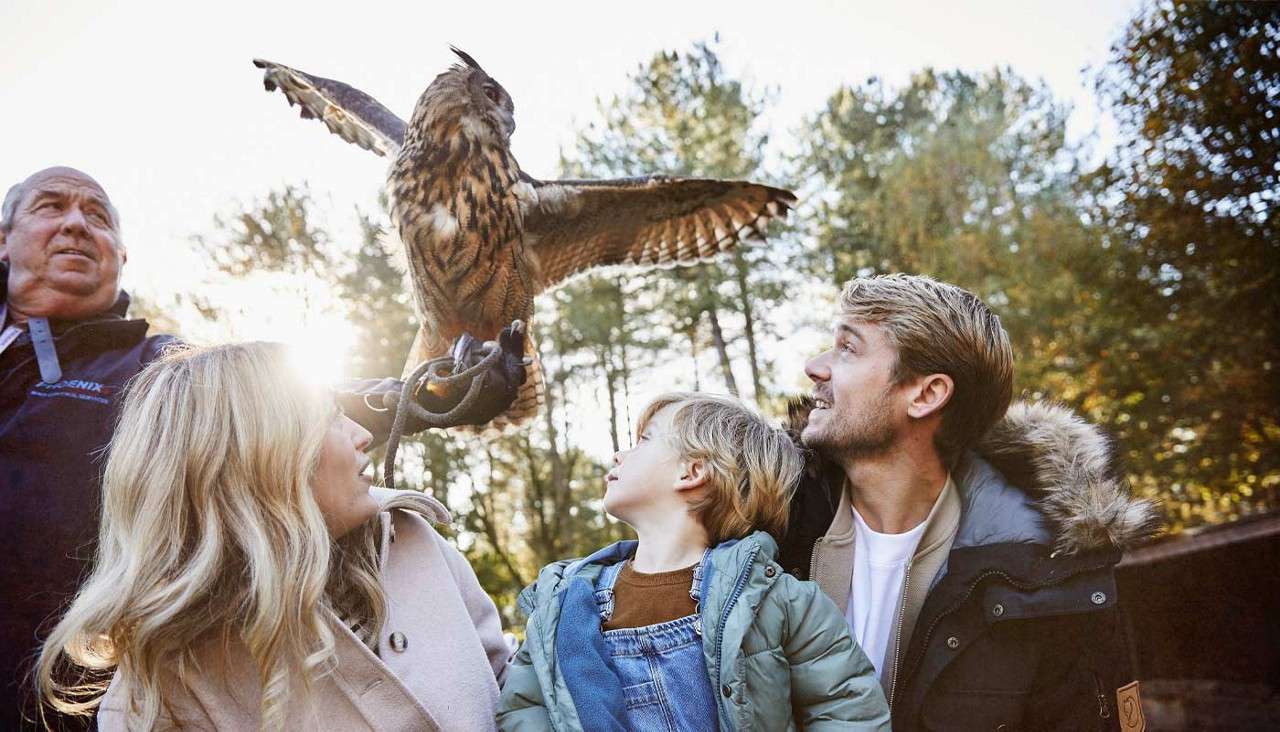 Owl spreads wings while perched on a gloved hand; three adults and a child watch closely outdoors. Sunlight filters through tall trees. Jacket text reads: PHOENIX.