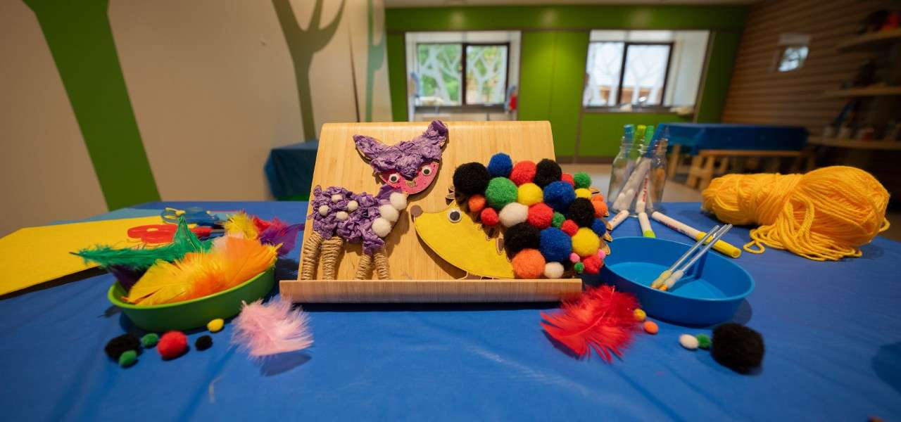 Animal crafts and materials