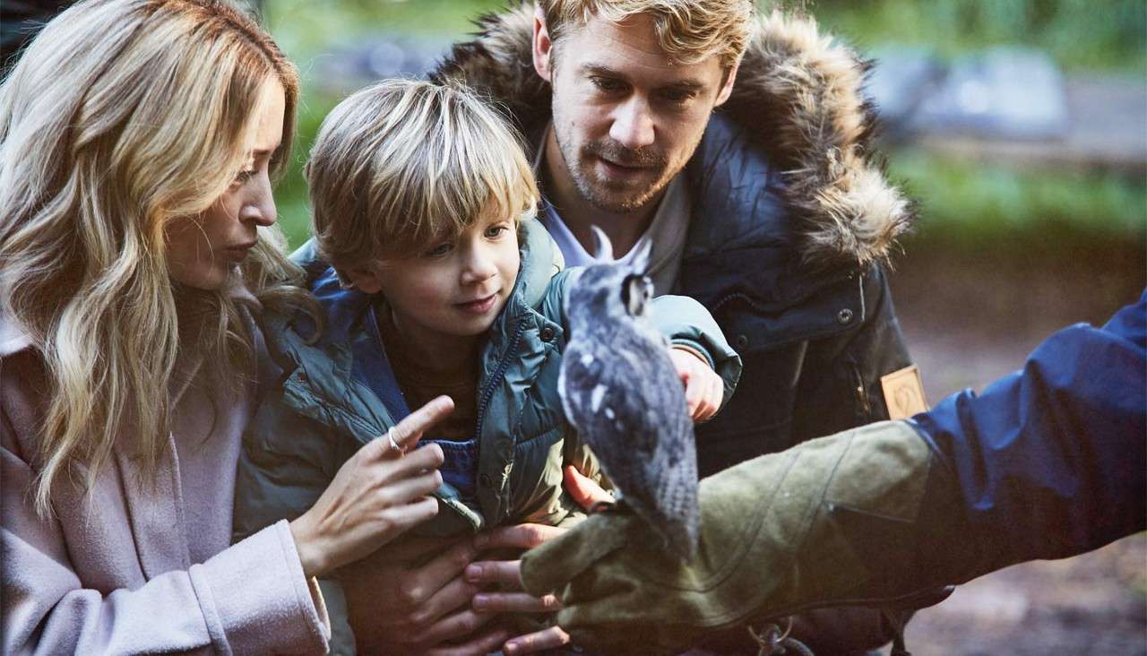 A small owl sits on a handler’s gloved hand; a child reaches to touch it; two adults watch closely outdoors in a wooded area.
