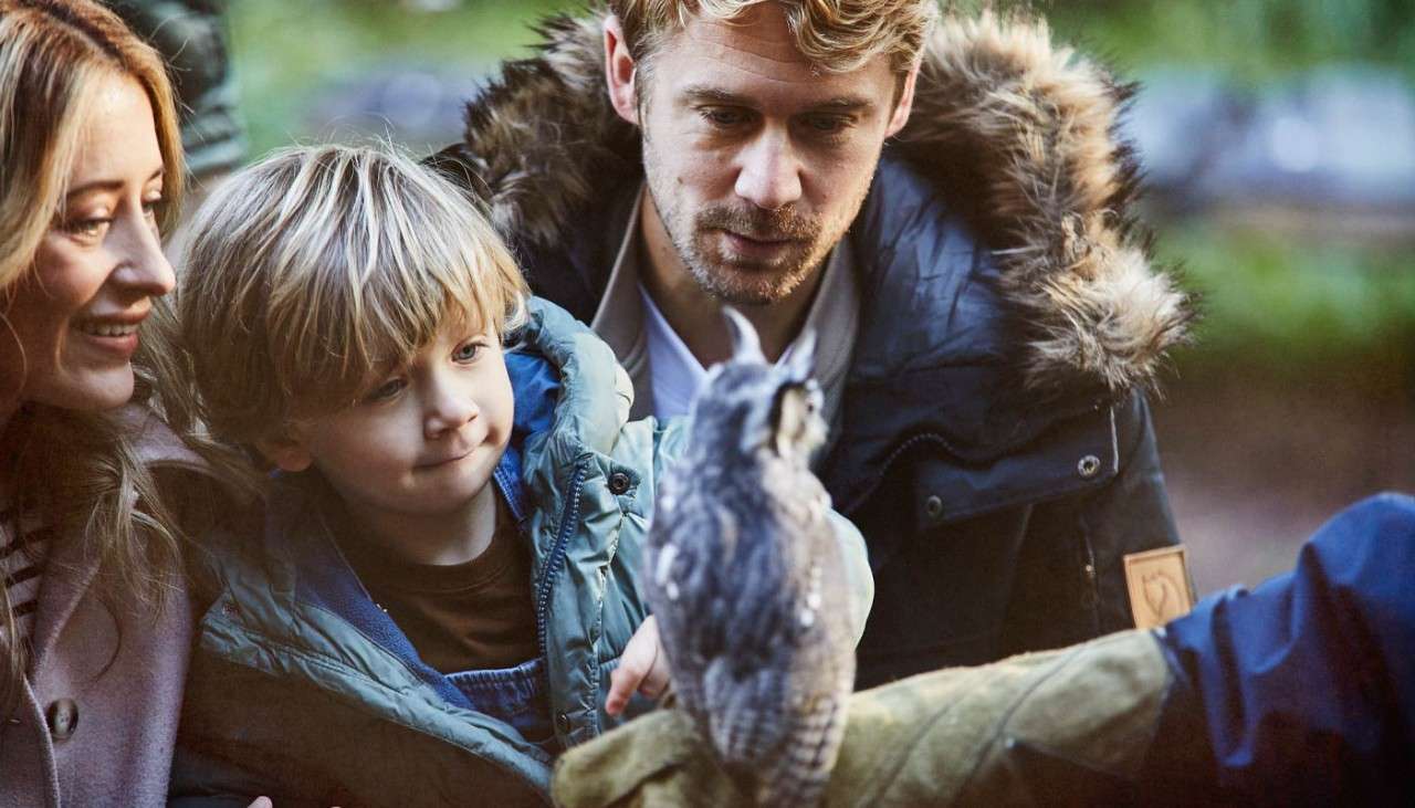 Family looking at a baby owl