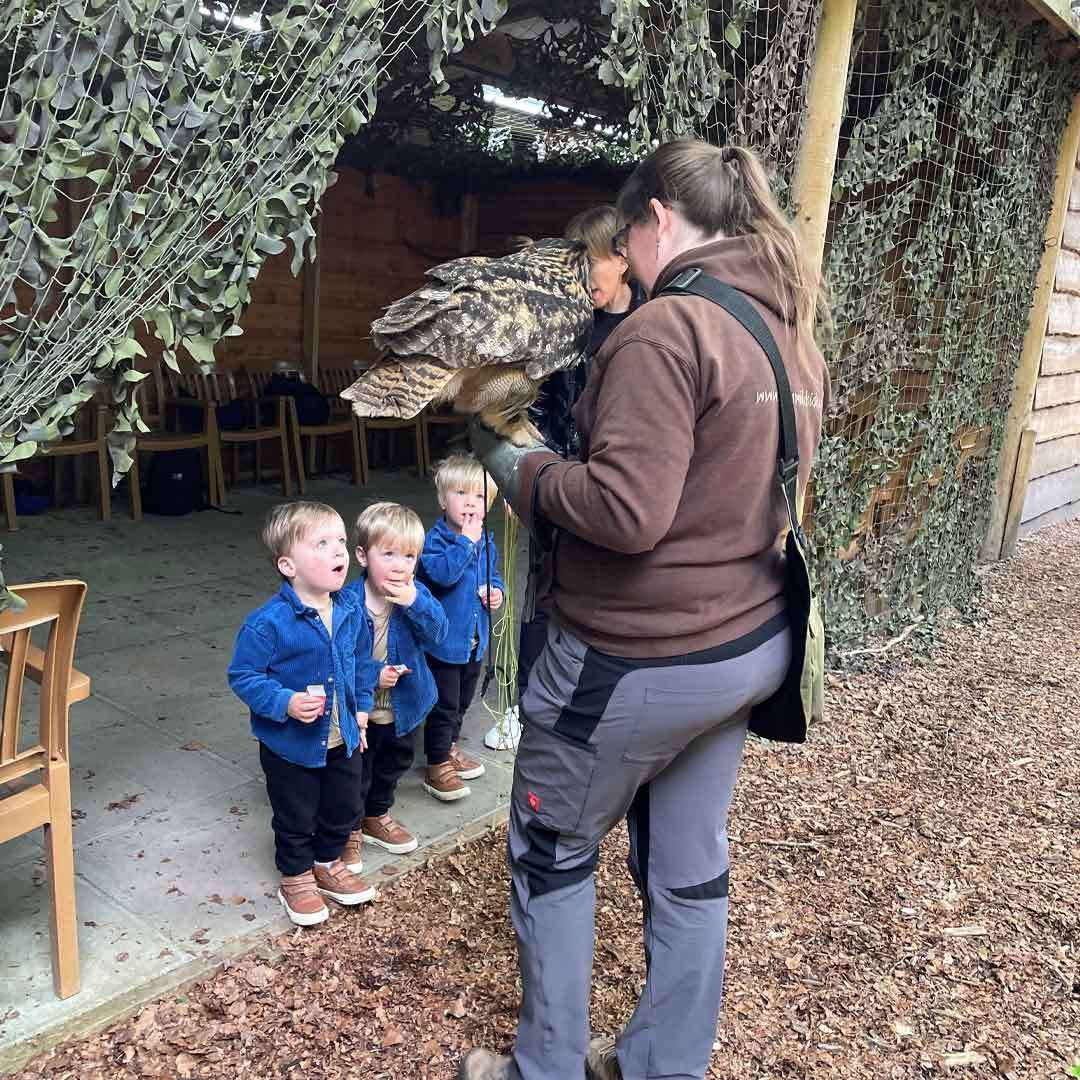 Owl perches on a handler’s gloved arm, while three toddlers watch wide-eyed and point, standing at the entrance of a camo-netted wooden shelter with chairs and leaf-covered ground.