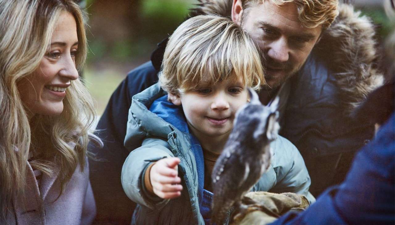 Boy holding a baby owl