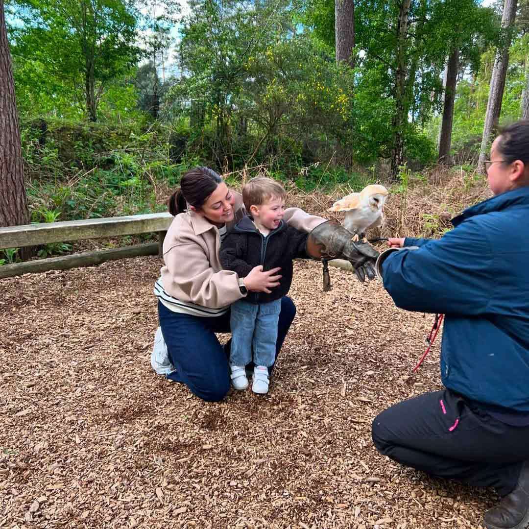 Child wearing a glove reaches toward a perched barn owl as a handler guides; supportive adult kneels beside. Woodchip ground and wooden fence in a green, wooded outdoor area.