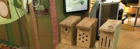 Build a Nature House