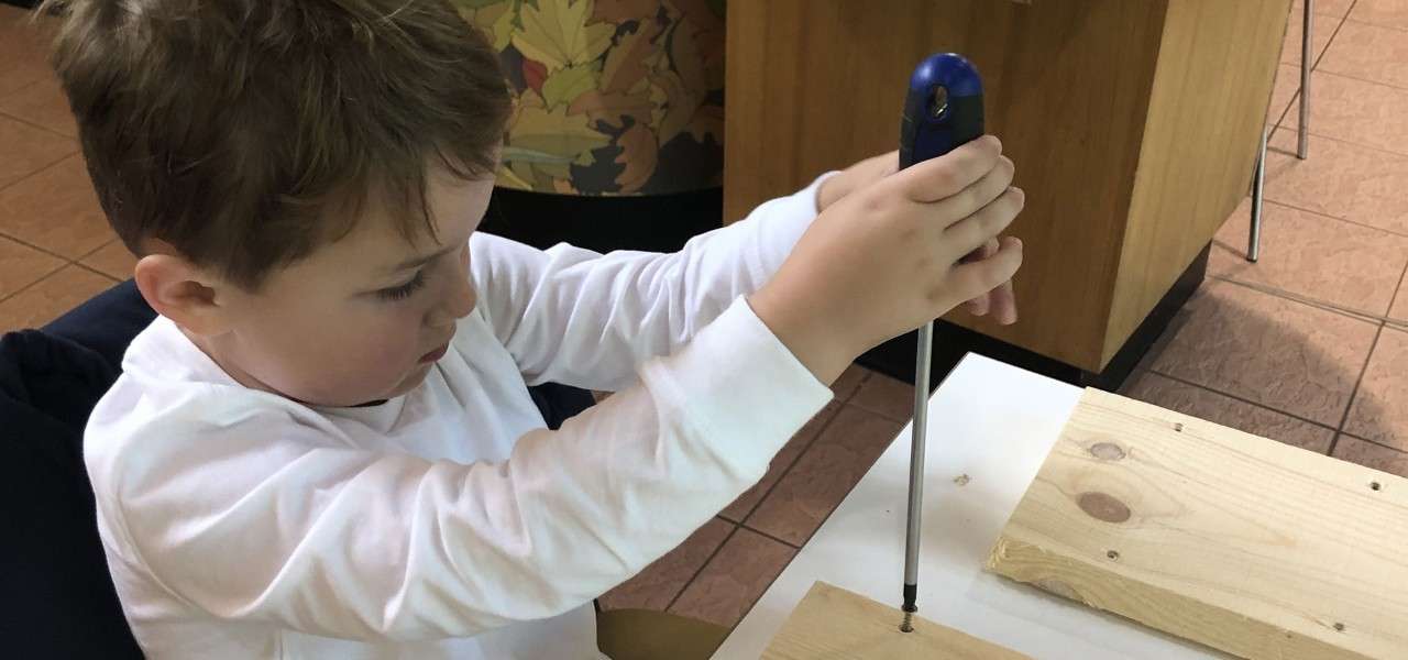 Boy building a nature box