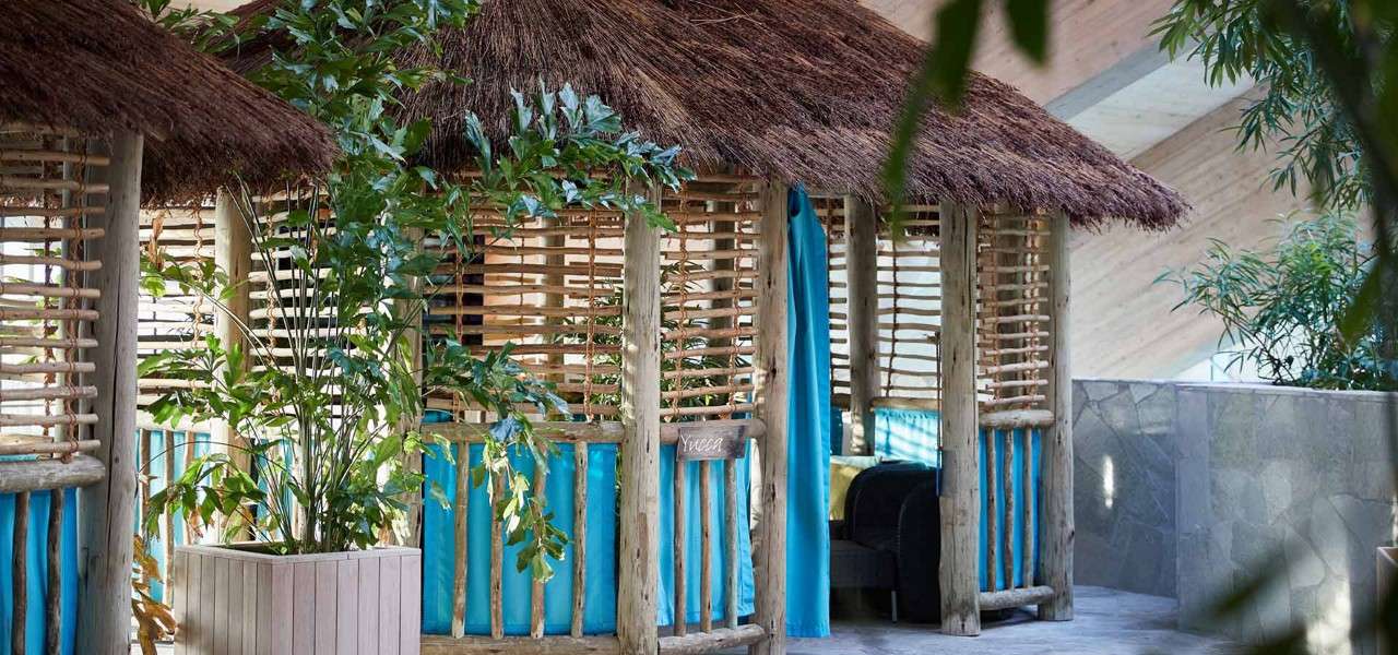 Wooden cabana hut surrounded by plants
