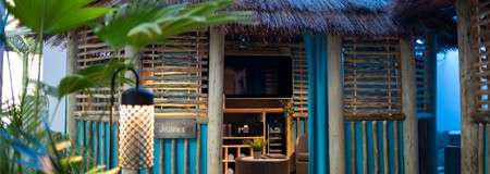 Thatched tiki hut hosts a small bar, displaying shelves and a plant; a hanging sign reads “JUNGLE”; surrounded by tropical plants and a woven lantern in a lush outdoor setting.