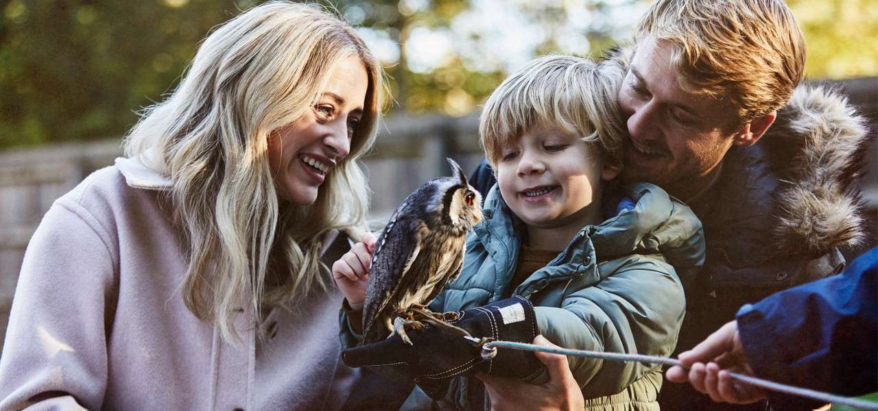 Small owl perches on a gloved hand, tethered by a handler, while a smiling child and two adults watch closely. Outdoor setting with soft sunlight, wooden fence, and blurred trees.