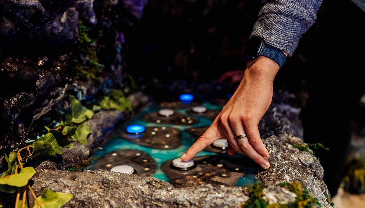 A person puzzle-solving in out Forest Laboratory