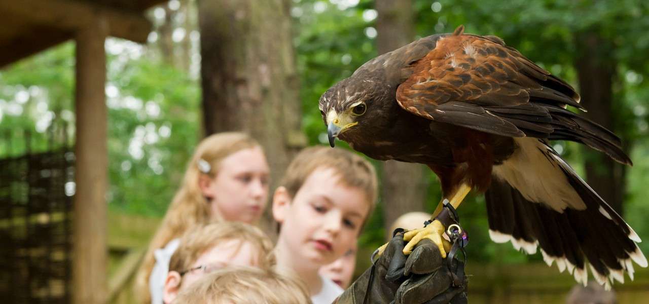 Falconers Club