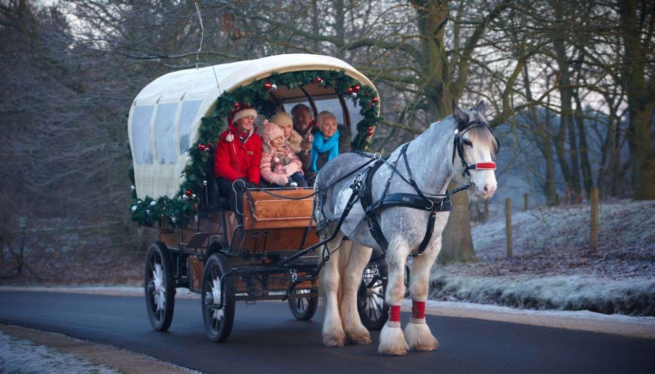 Festive horse drawn carriage 