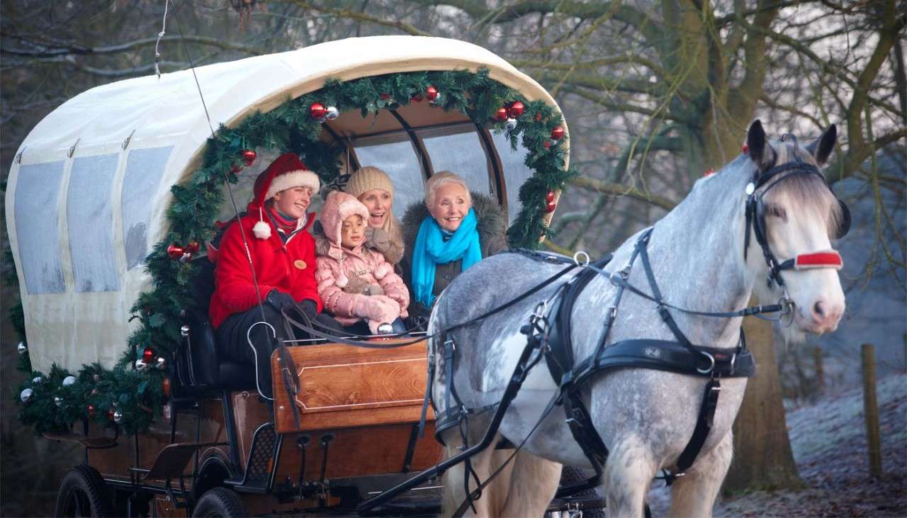 Festive horse drawn carriage 
