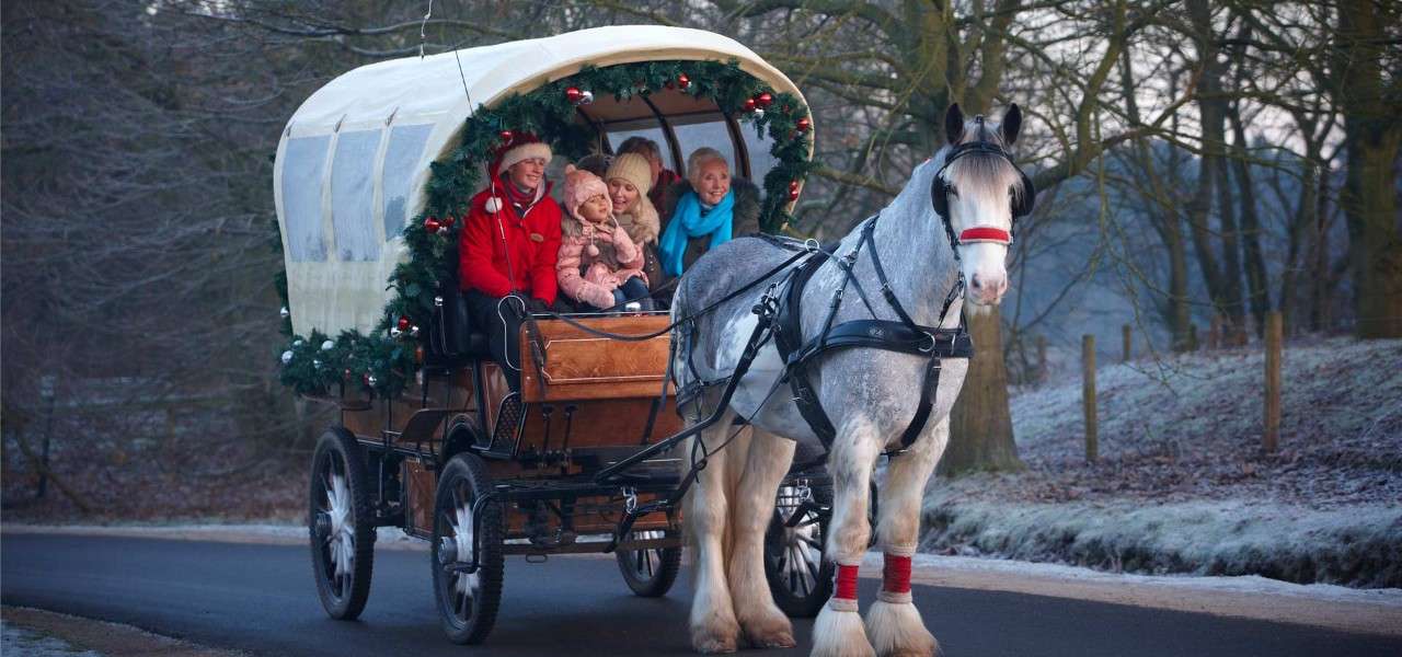 Festive Carriage Rides