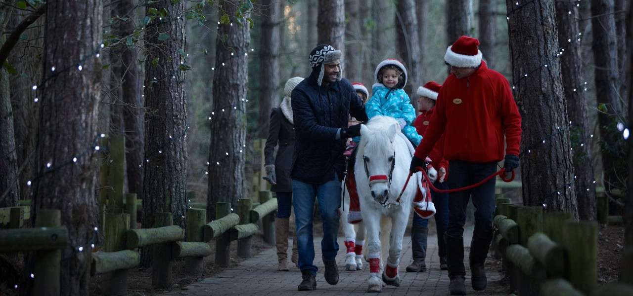 Festive pony rides form Santa