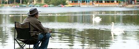 Person sits in a folding chair, fishing with a rod, facing a calm lake; swans glide across the water; distant shoreline shows buildings, trees, and small boats.
