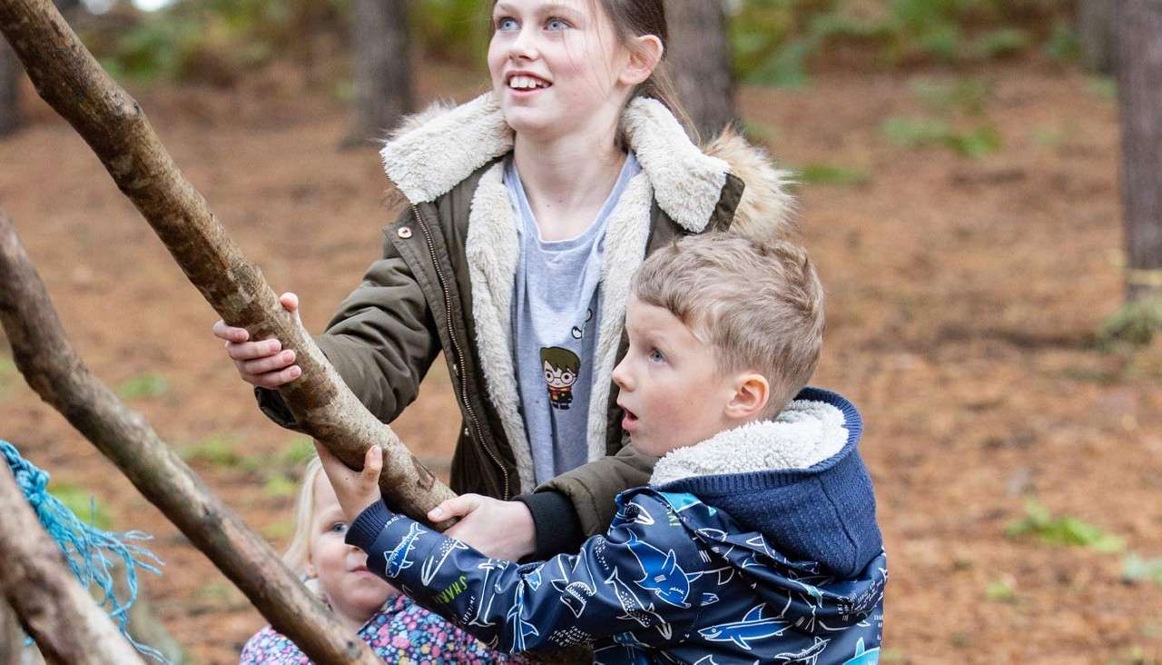 Two young children building a forest den