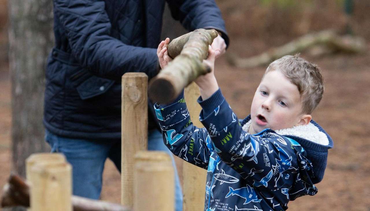 A young boy making a forest den