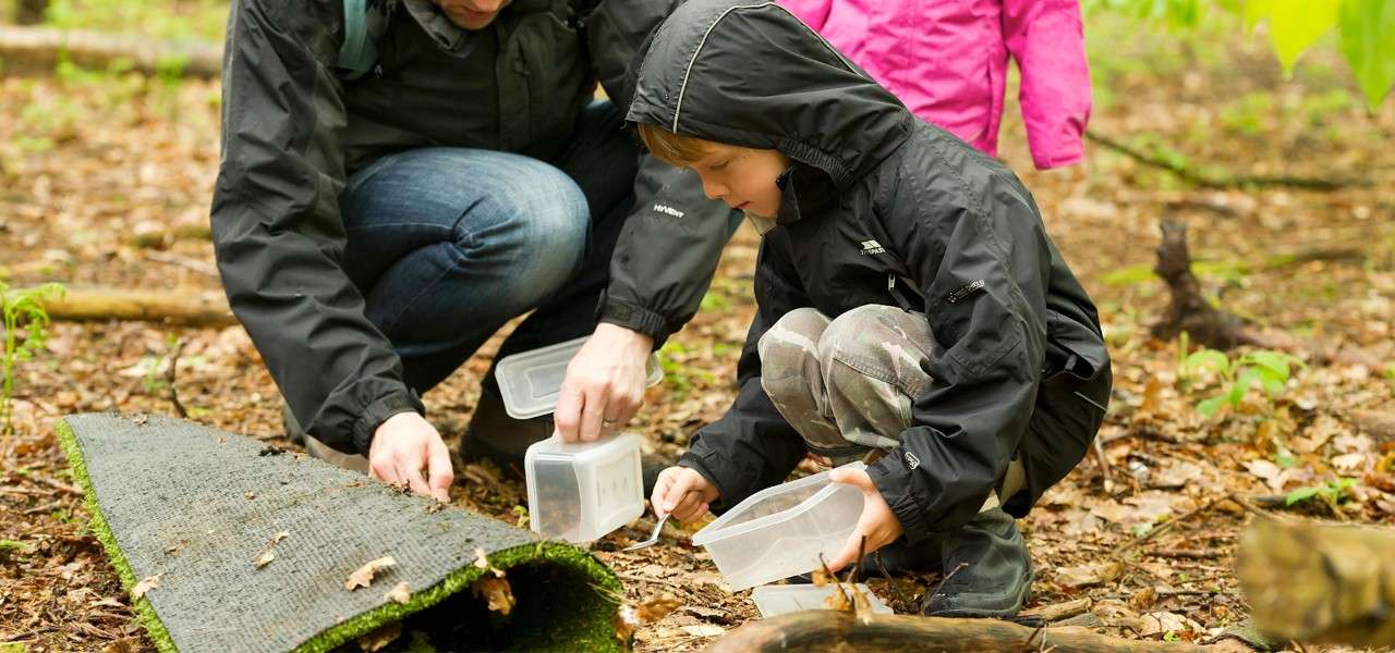 child taking part in insect safari