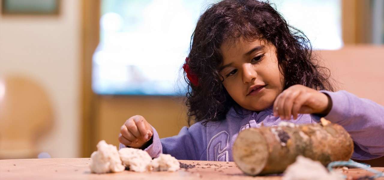 Child places small items into holes on a cut tree branch, concentrating at a wooden table indoors, with lumps of clay and scattered seeds nearby in a softly lit classroom.