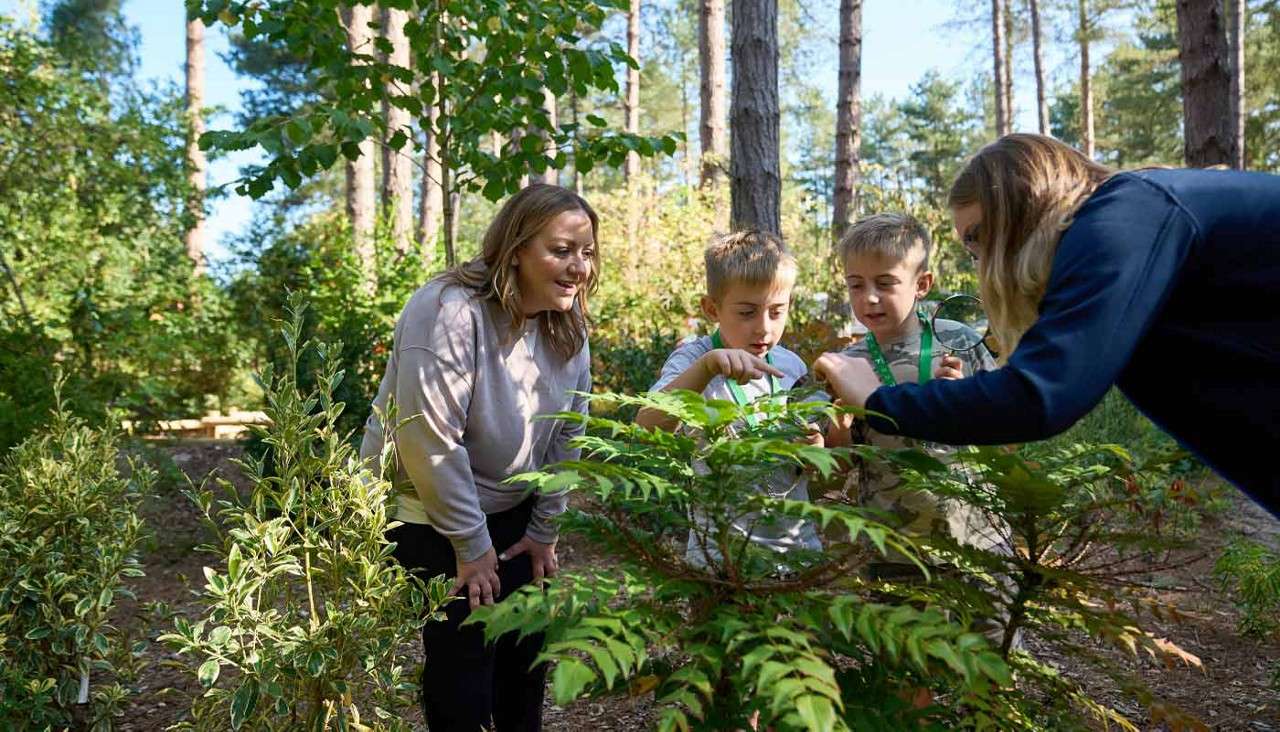 Two women and two young boys using magnifying glasses to look at plants.