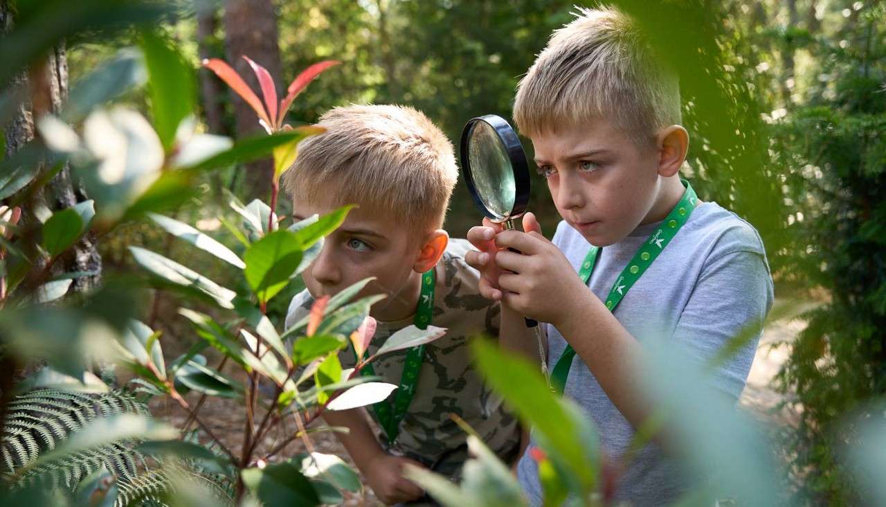 Two children lean forward, one using a magnifying glass, studying leaves and branches while crouching amid dense greenery in a sunlit forest or garden.