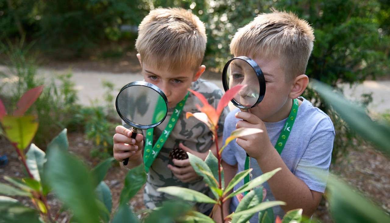 Two children inspect a plant through handheld magnifying glasses, leaning close to red-tipped leaves; one also holds a pine cone, standing on a garden path surrounded by greenery.