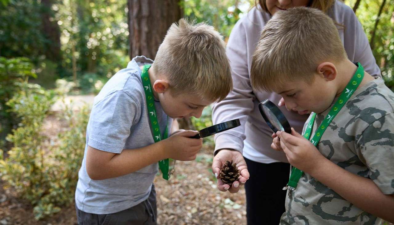 Two children lean in with magnifying glasses, inspecting a pine cone held by an adult, on a wooded path with green foliage and dappled sunlight.