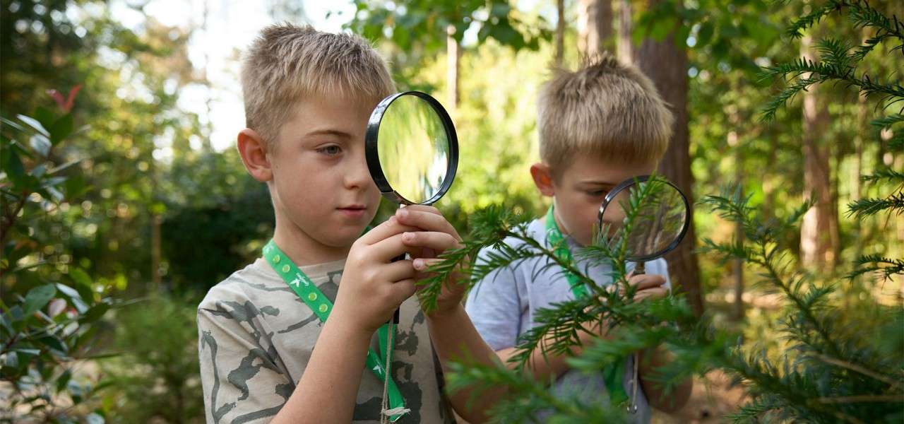 Two young boys looking at plants using magnifying glasses.