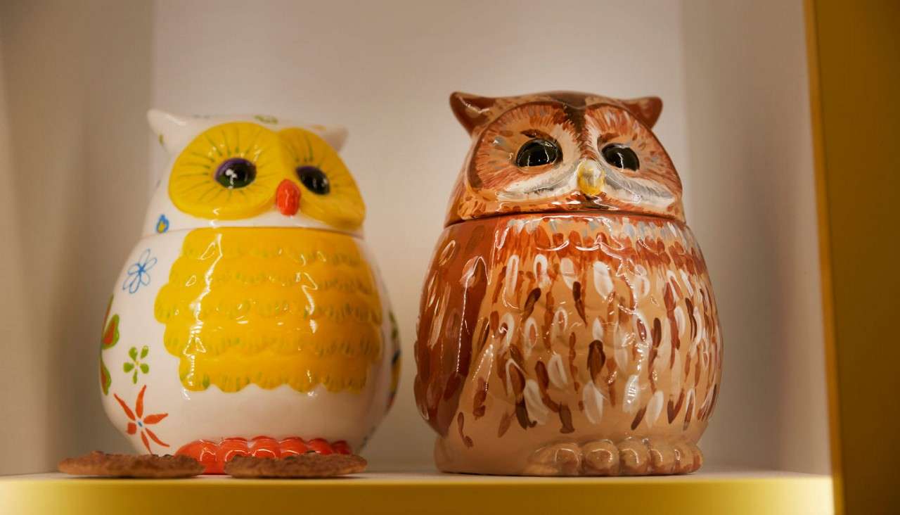 Two owl-shaped ceramic jars sit side by side, one yellow and floral, one brown and speckled, displayed on a lit shelf with a yellow border; cookies rest in front.