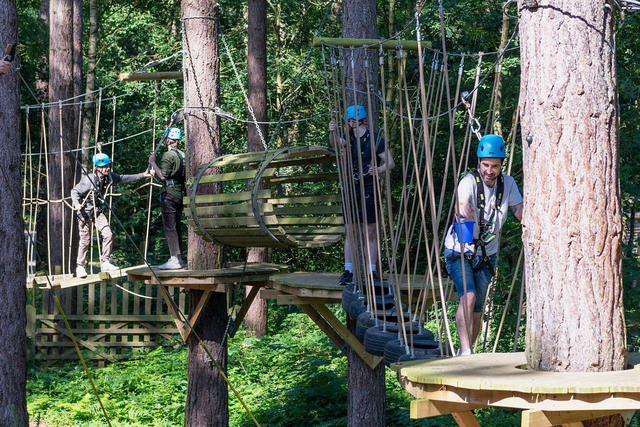 People on the tree trekking course