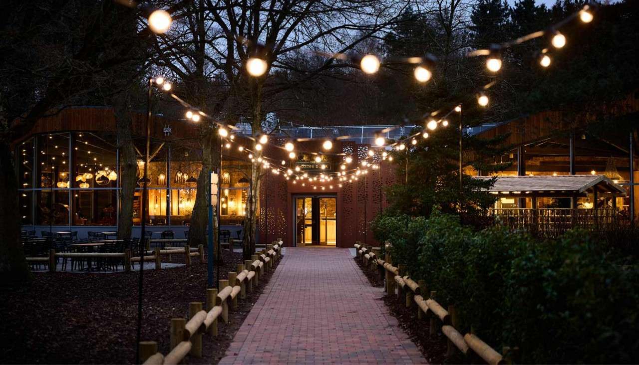 String lights drape above a brick walkway, guiding toward a warmly lit building entrance. Outdoor tables sit left, hedges and wooden rails border right, under leafless trees at dusk.