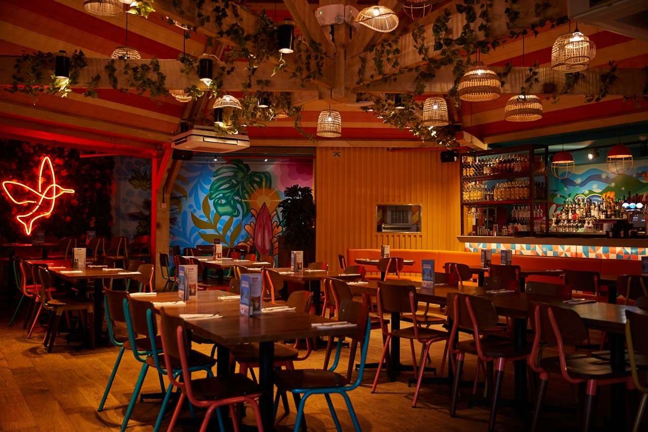 SF LAS IGUANAS INTERIOR 4