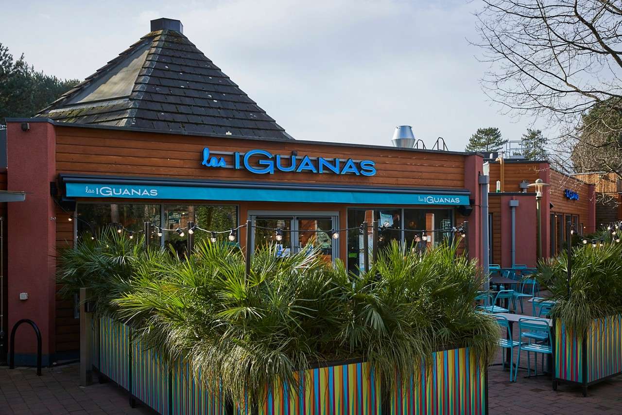sf las iguanas in the village square