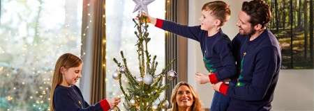 Christmas Tree, Lights and Decorations Pack