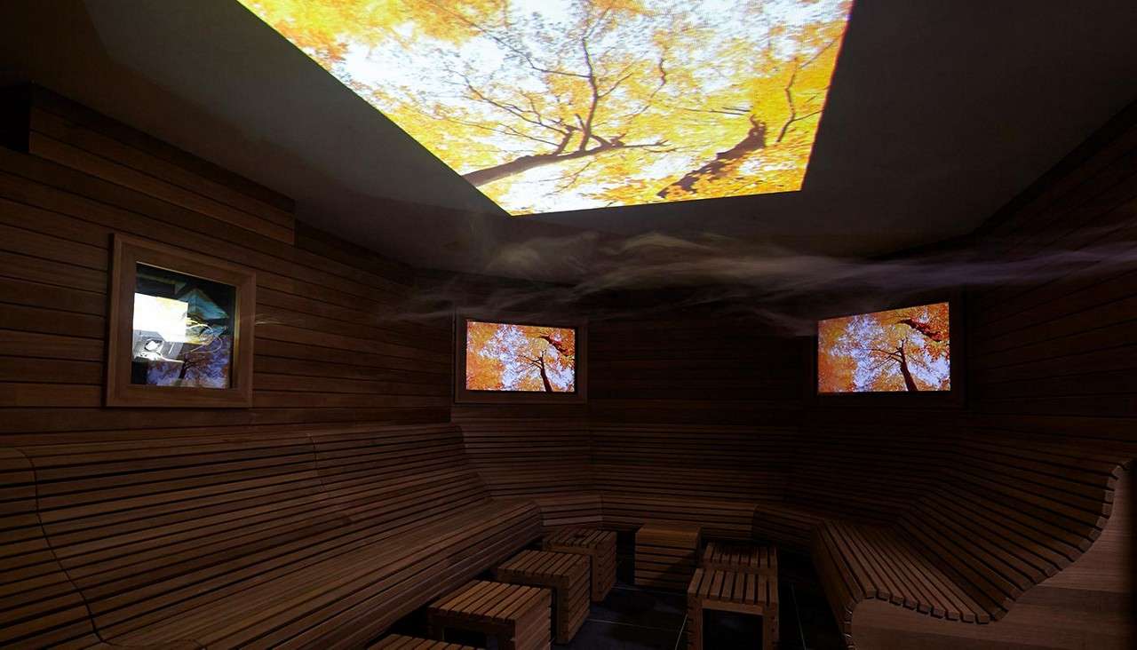 A dim lit room with screens showing forest views.