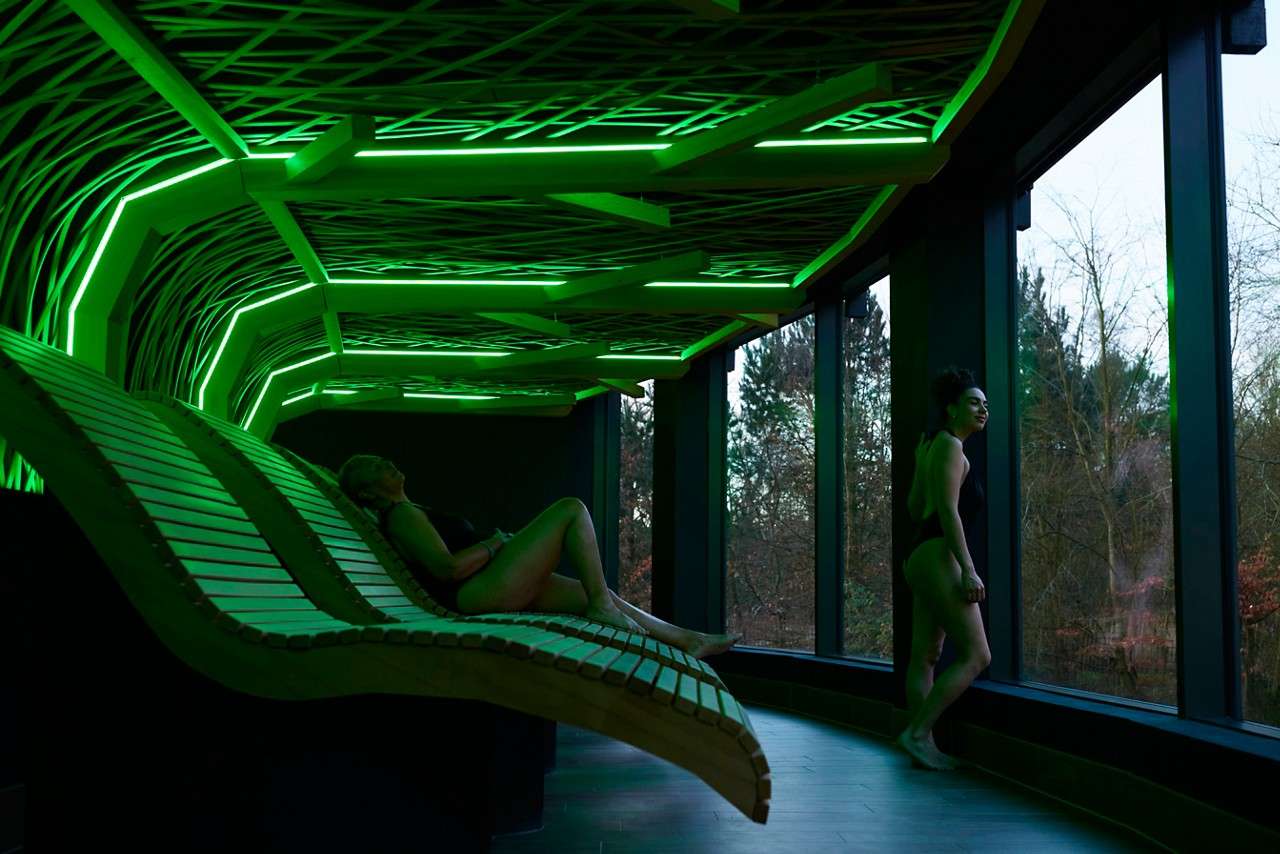 Wooden lounging beds with views out to the forest.