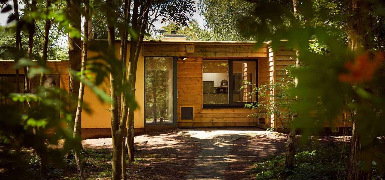 Wooden cabin sits tucked among trees, with a path leading to a glass door and window revealing a kitchen inside; dappled sunlight filters through surrounding forest foliage.