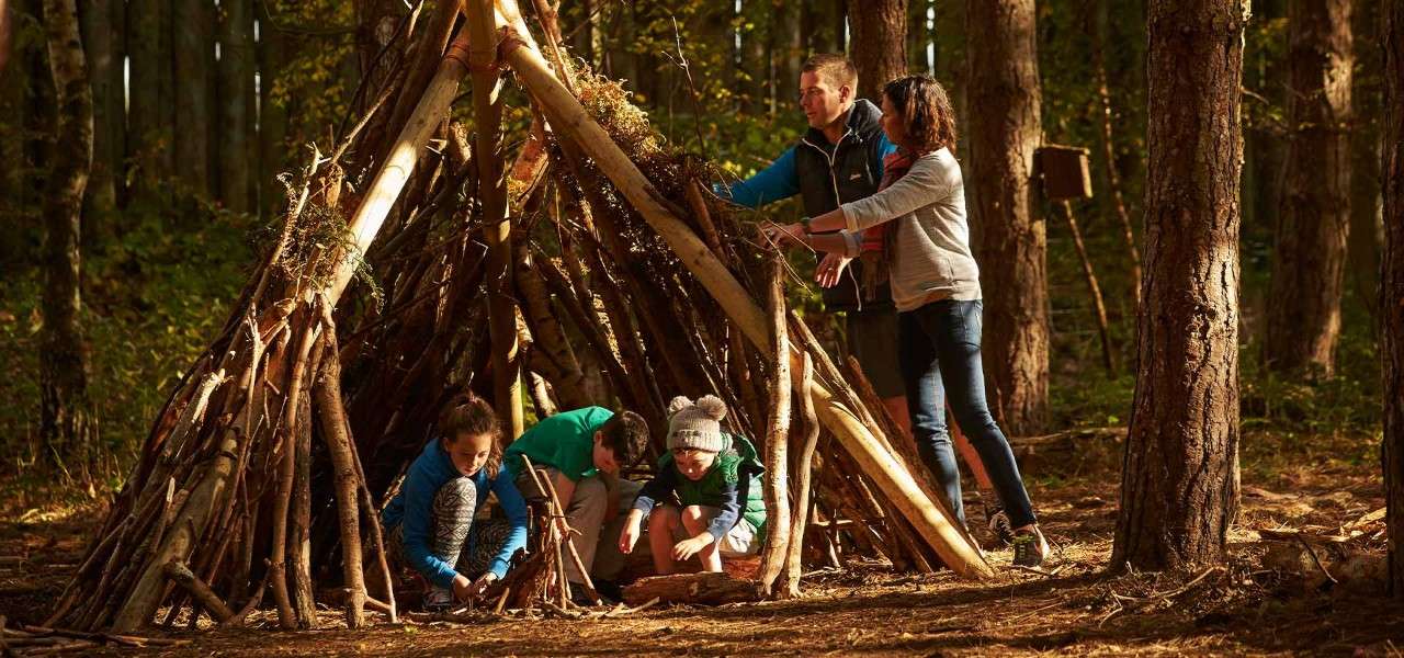 Family den building in forest
