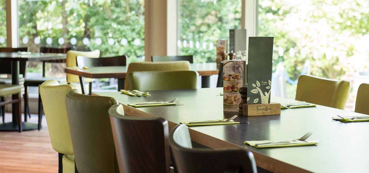 Set dining tables display menus and neatly arranged cutlery, awaiting patrons; surrounded by mixed green and brown chairs in a bright restaurant with large windows overlooking leafy greenery. Text: Foresters.