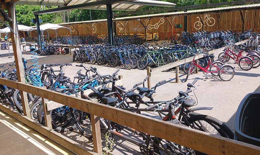 Rows of bicycles sit parked in organized racks, including red tricycles, within a partially covered outdoor bike lot bordered by a wooden fence with bike symbols, under sunlight and trees.