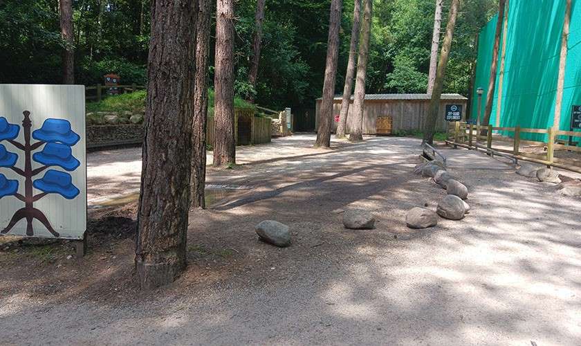 Gravel path curves through tall pine trees, guiding visitors between boulders toward wooden cabins. Surrounding context includes a fenced area with green netting and a signboard bearing blue leaf-like shapes.