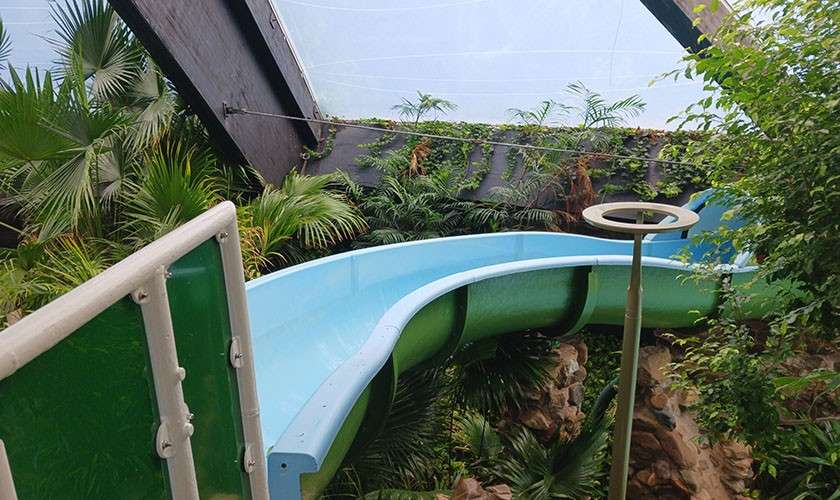 A slide going past the tops of palm trees