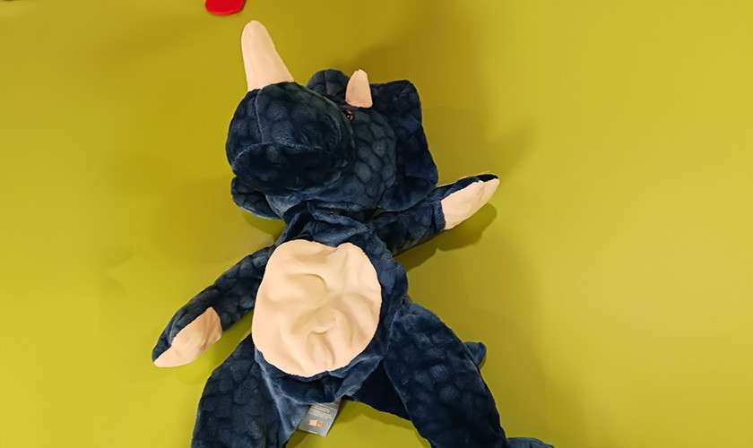 A triceratops teddy on the table
